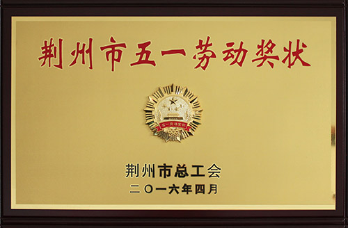 2016年荆州市五一劳动奖章