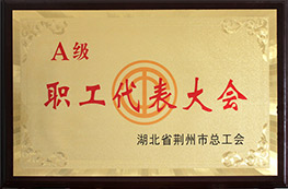 荆州市总工会授予我司荆州市“A级职工代表大会”的称号